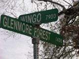 Glenmore Forest park 8000 Wingo Houston, Texas 77055 (36).JPG
